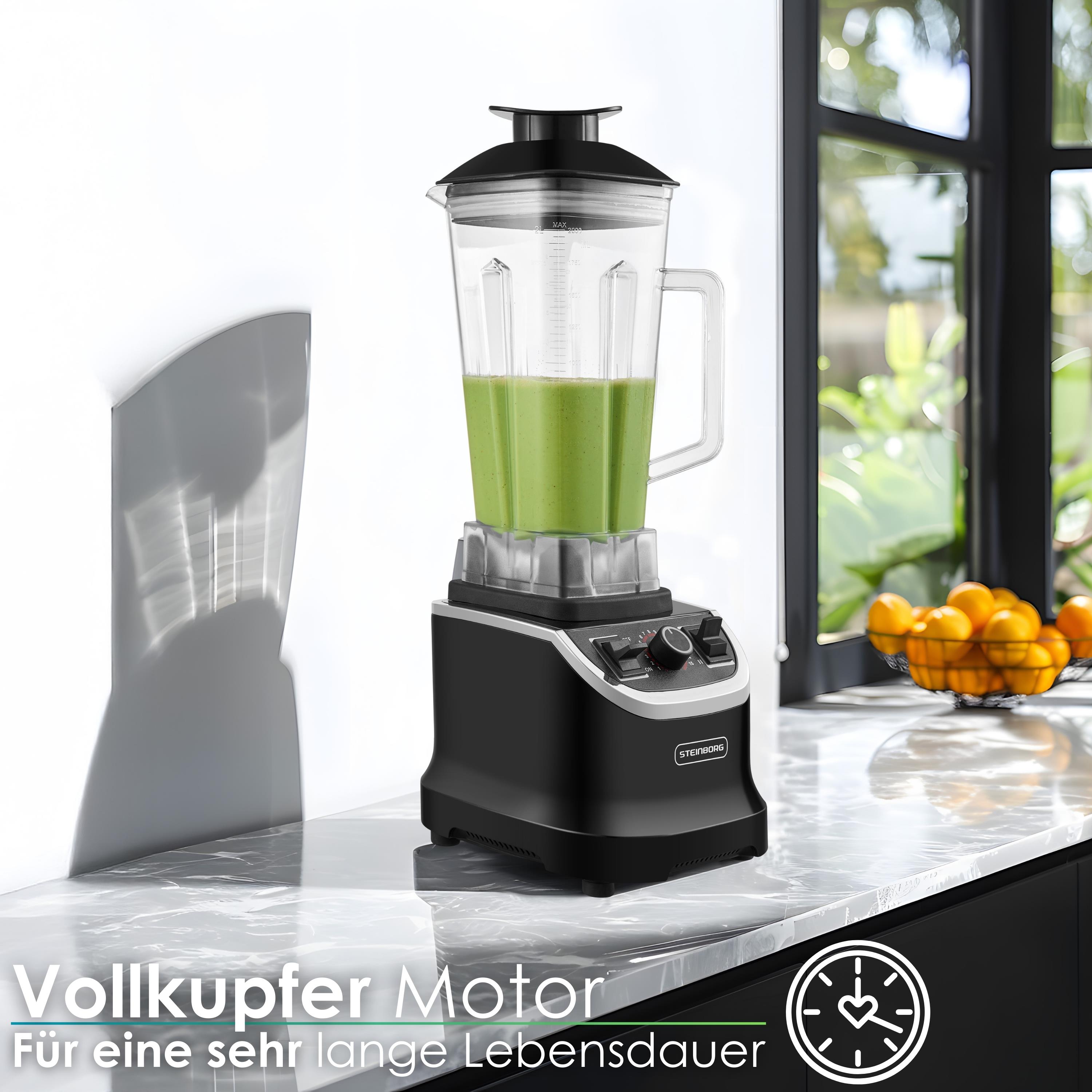 Steinborg SB-7060 Standmixer