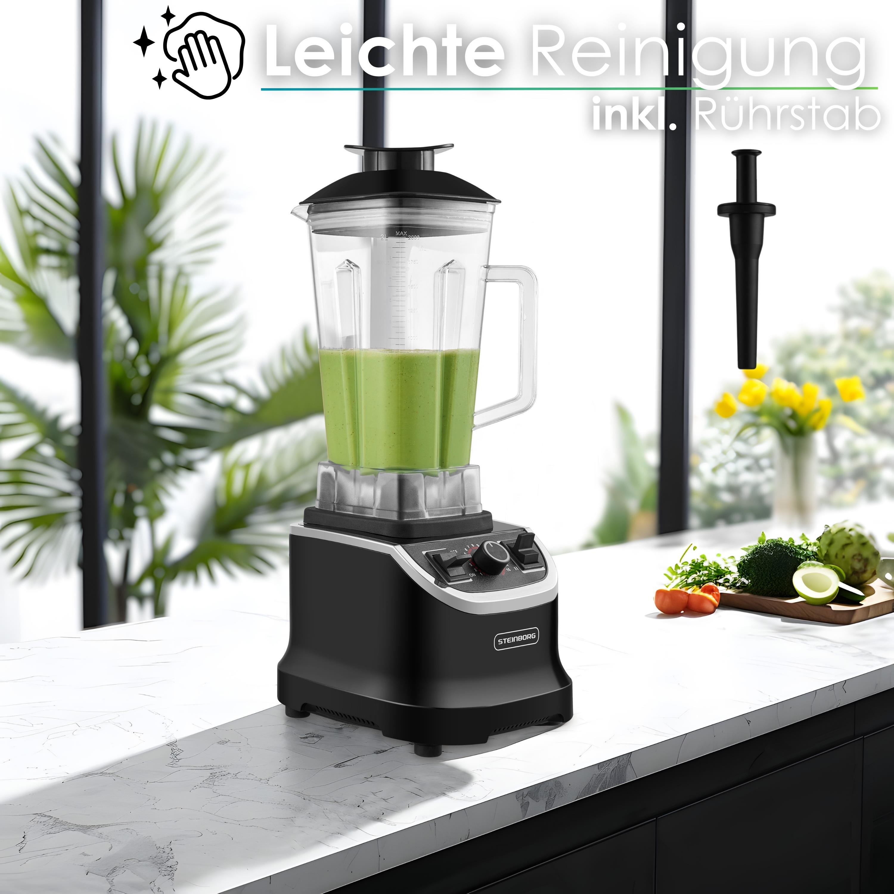 Steinborg SB-7060 Standmixer