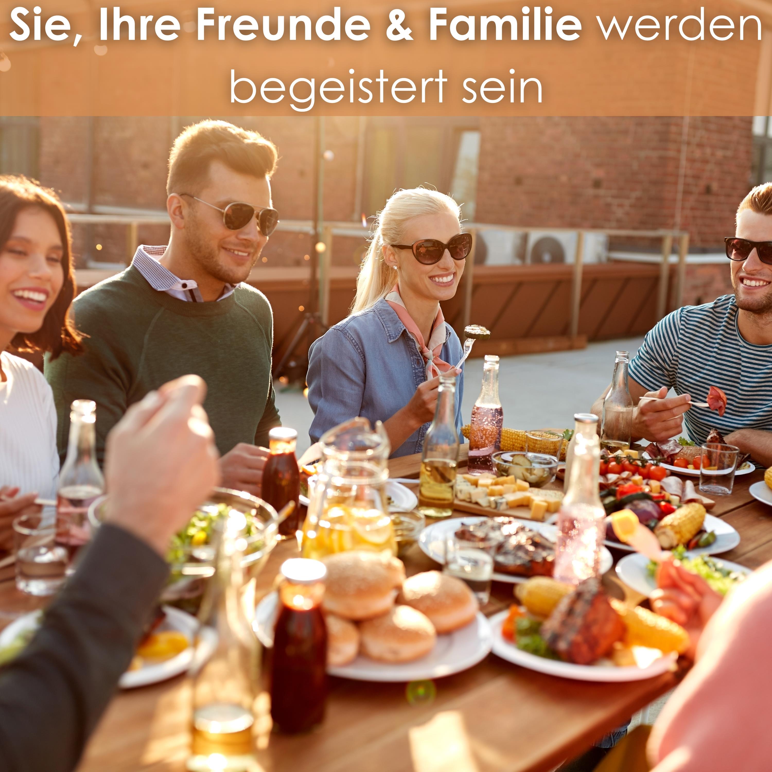 ZLN-3574 Holzkohlegrill