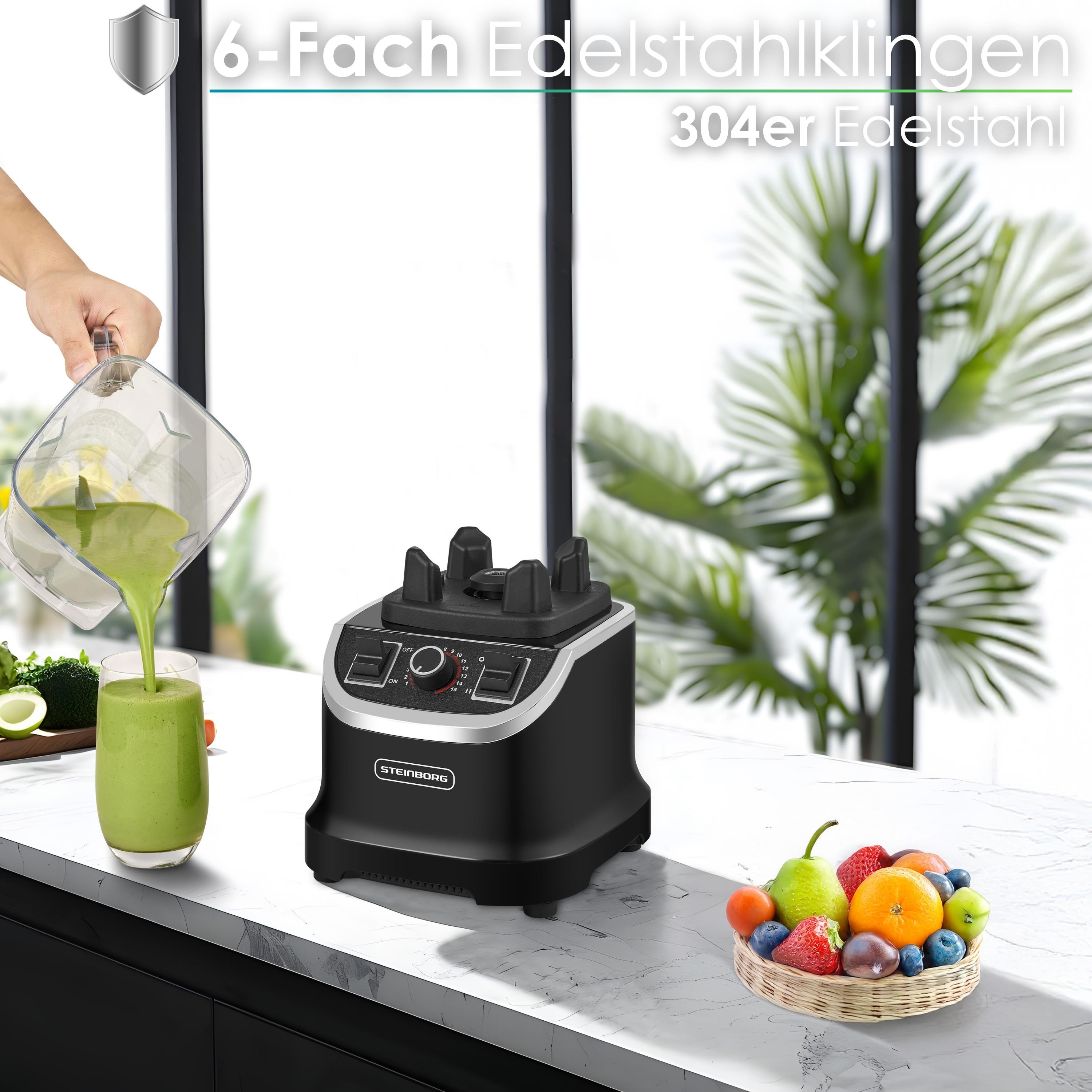 Steinborg SB-7060 Standmixer