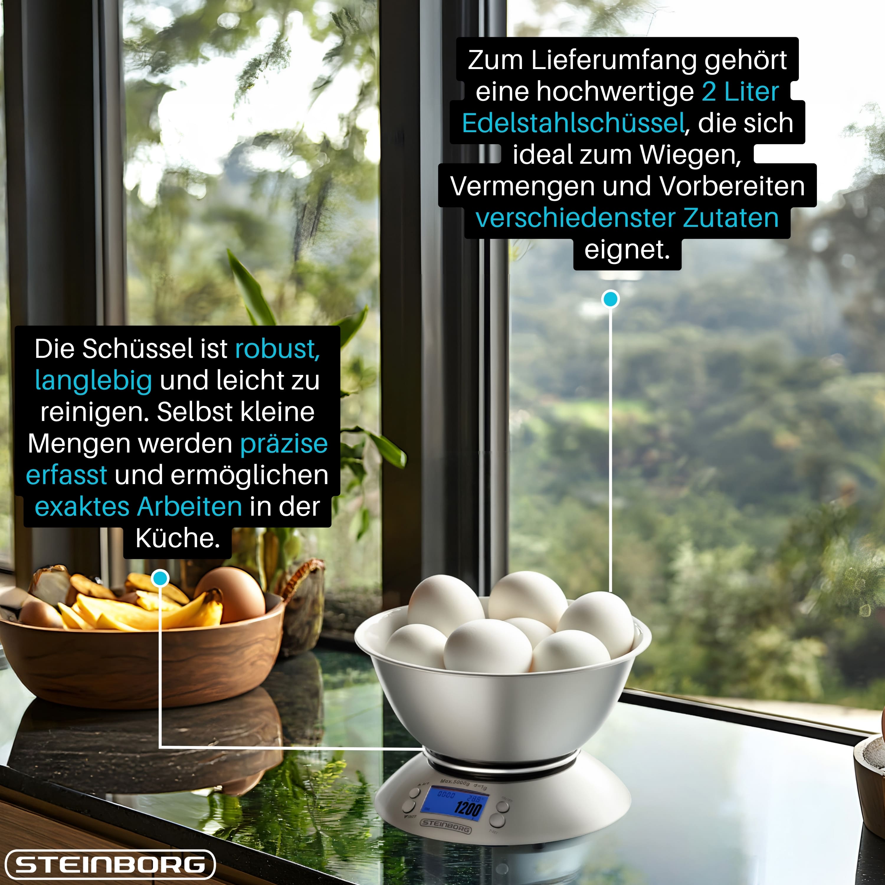 Steinborg SB-2660 Küchenwaage