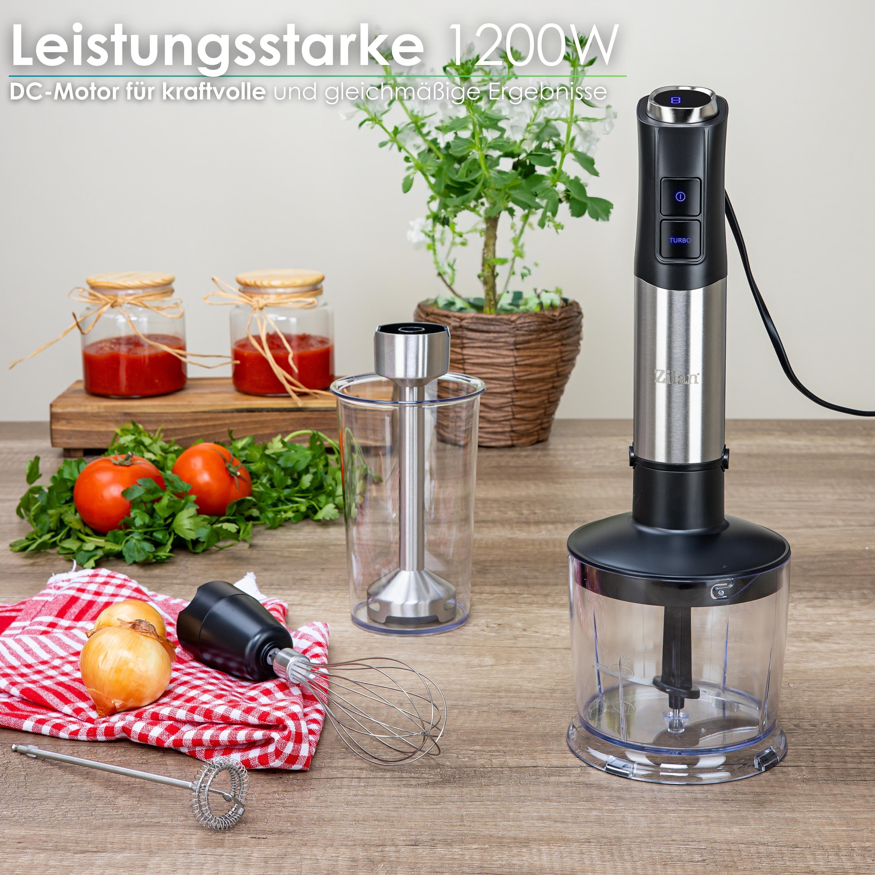 Zilan ZLN-3939 Stabmixer Set
