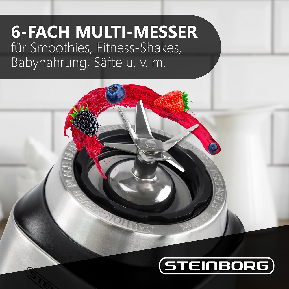 Steinborg SB-7020 Standmixer