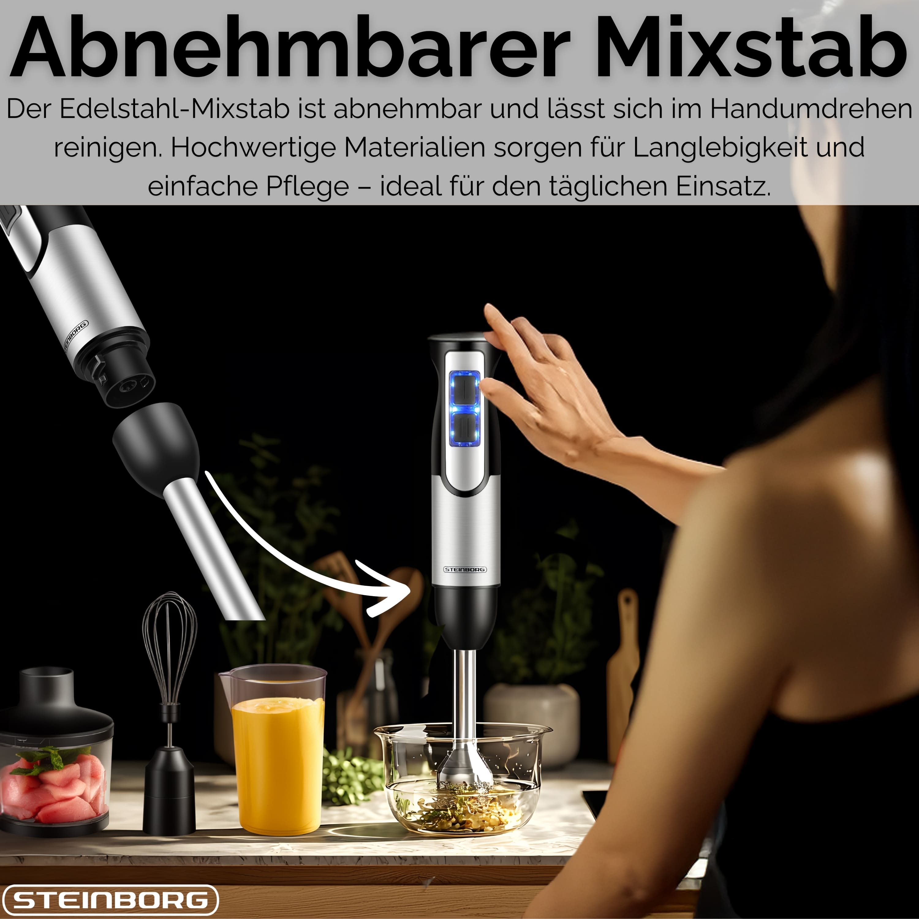 Steinborg SB-7070 Stabmixer