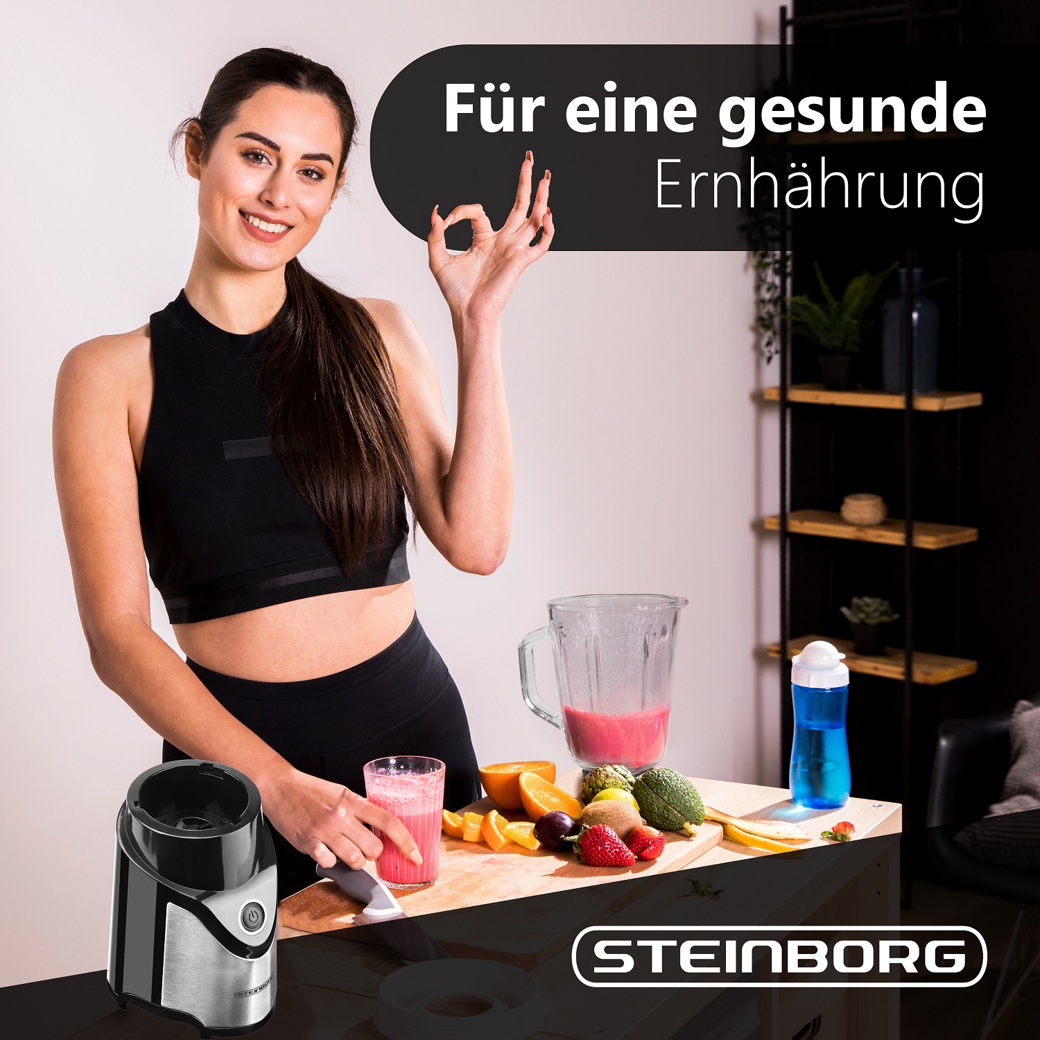 Steinborg SB-7030 Standmixer