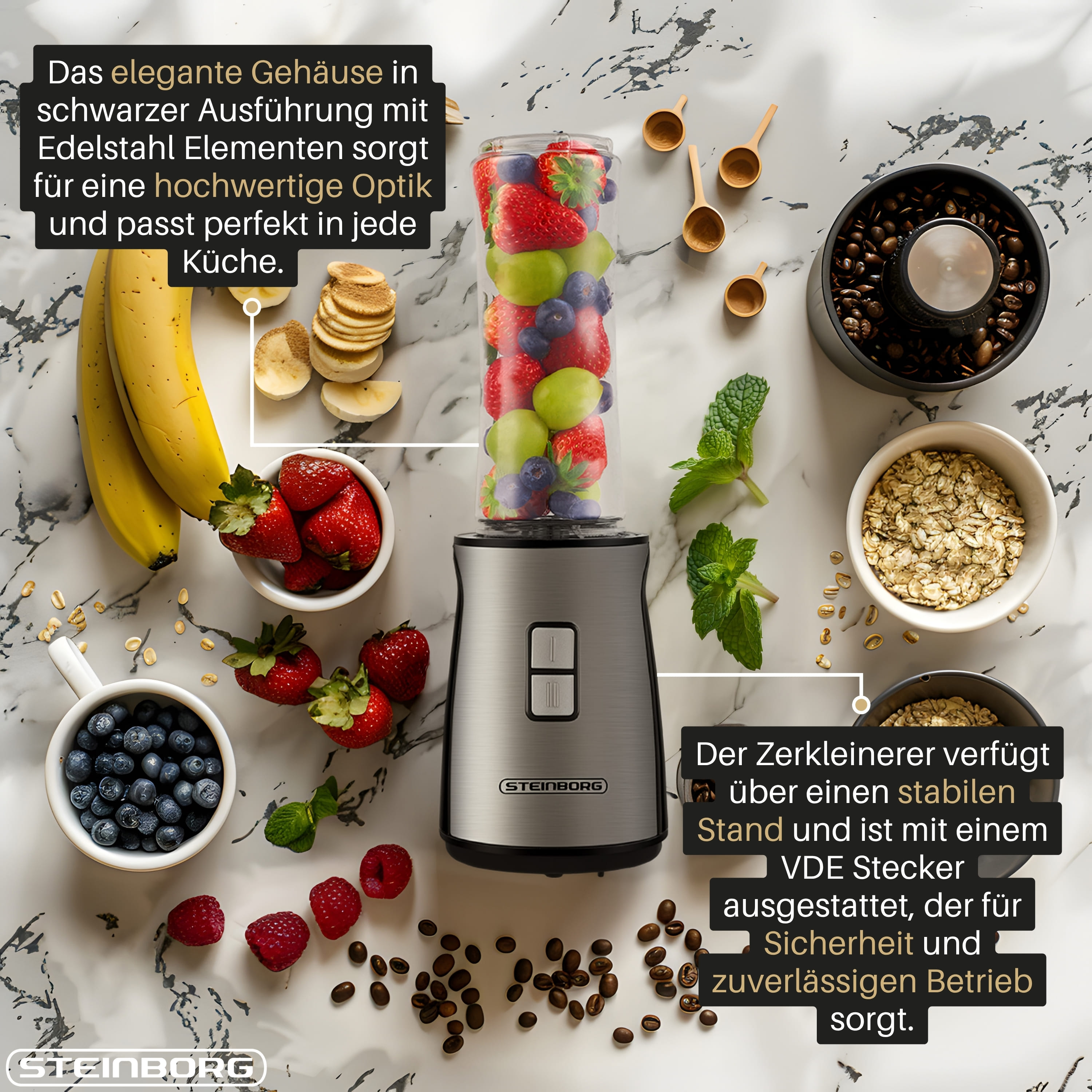 Steinborg SB-2650 Zerkleinerer und Mixer