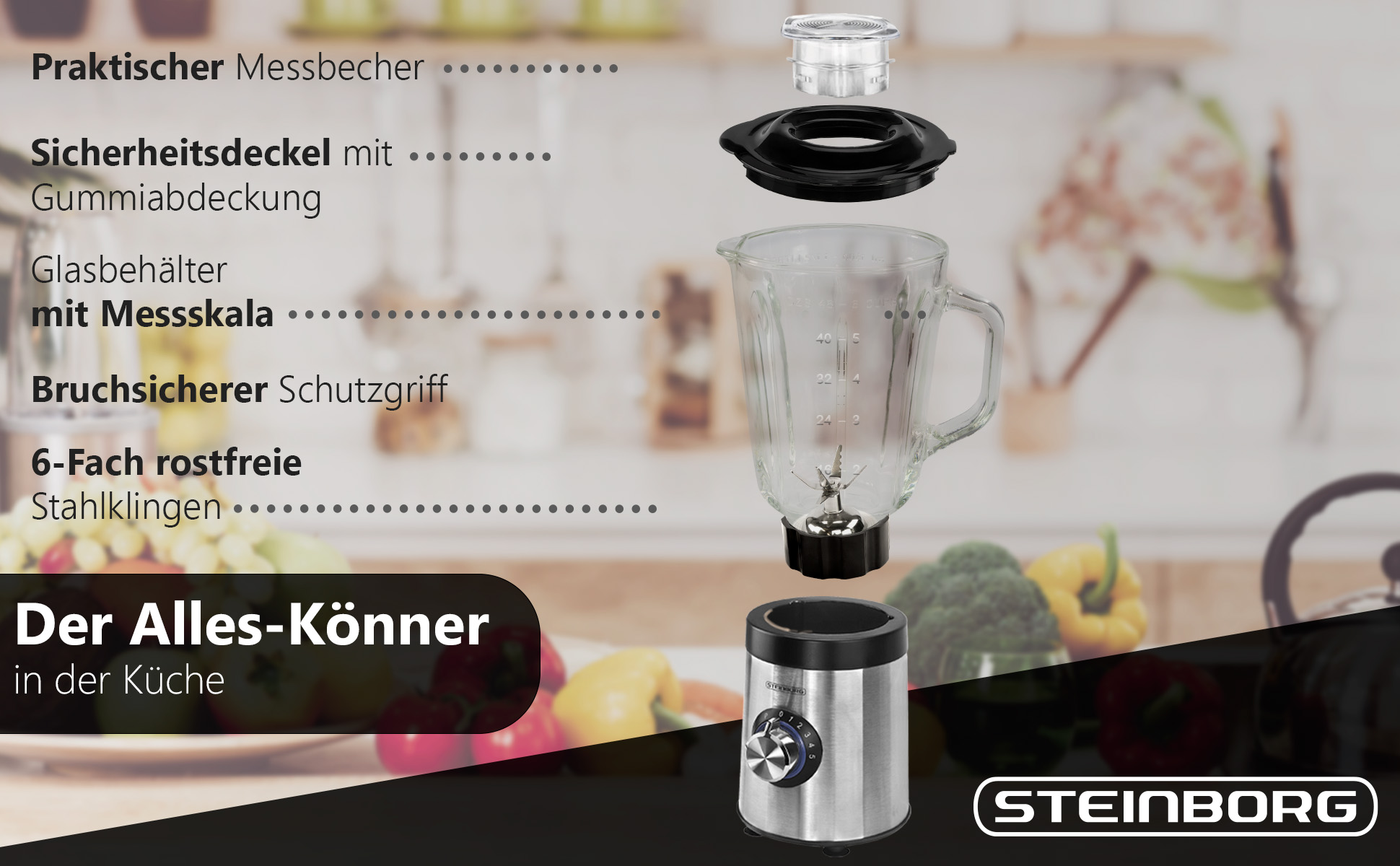 Steinborg SB-7020 Standmixer