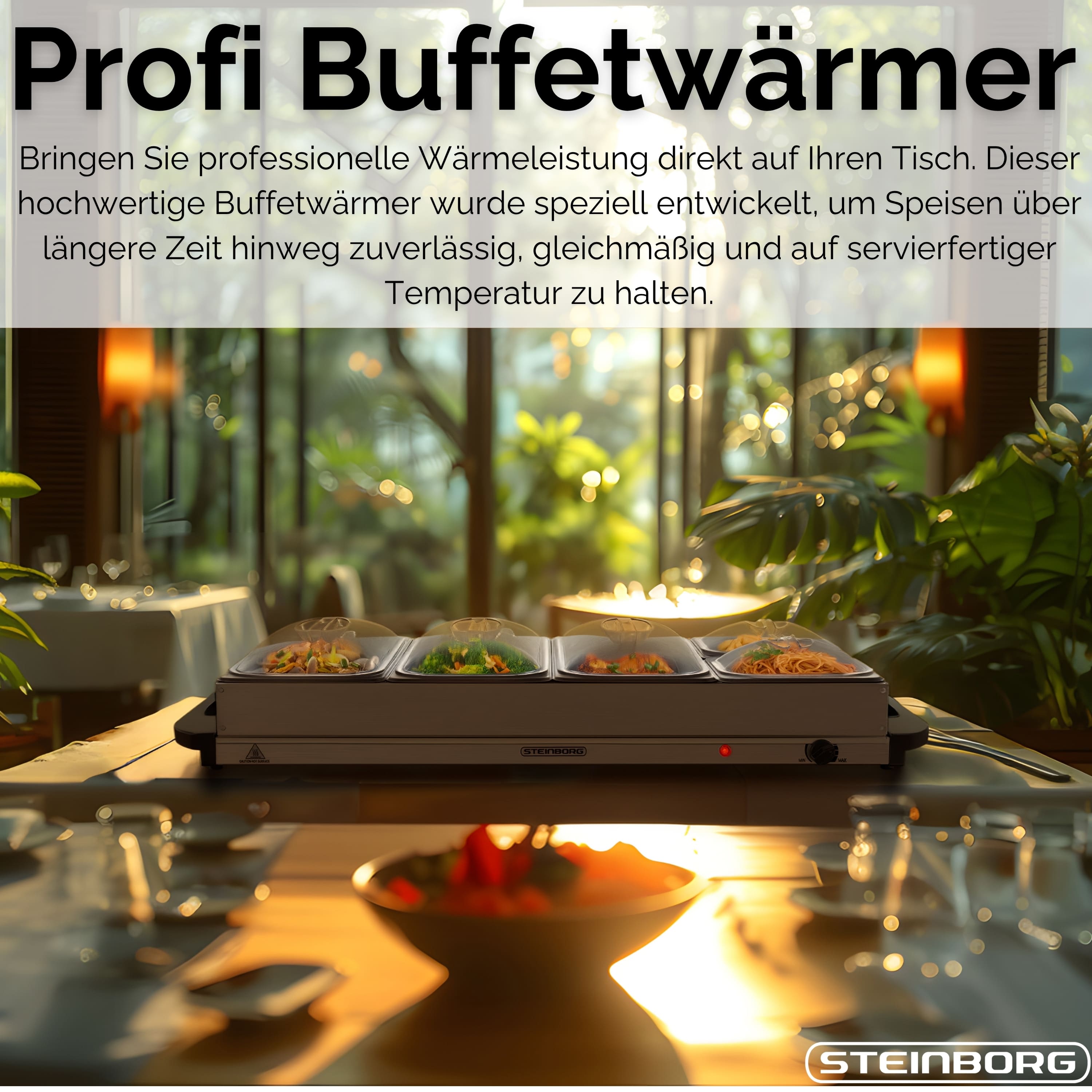 Steinborg SB-6023 Buffetwärmer