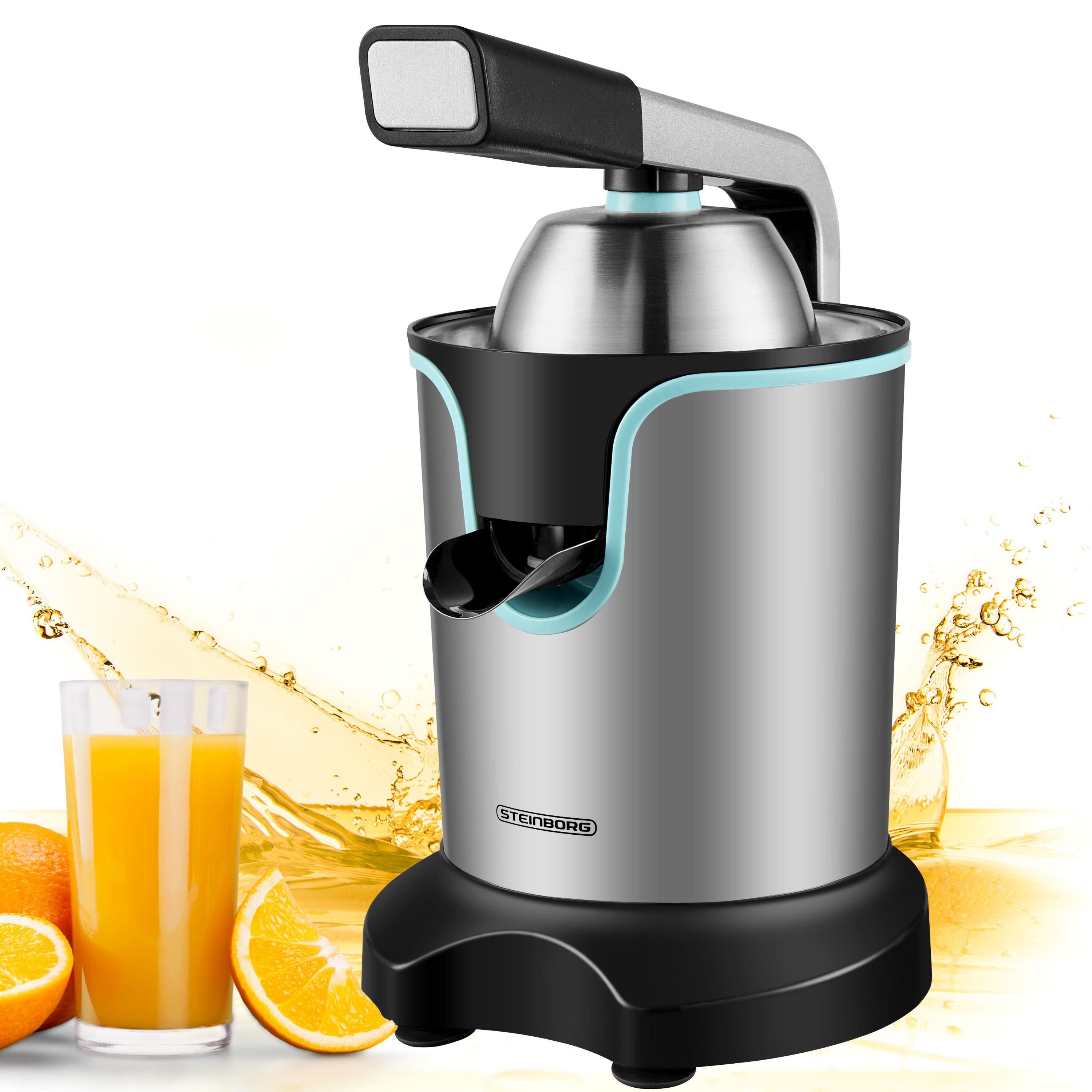 Steinborg SB-7051 Saftpresse