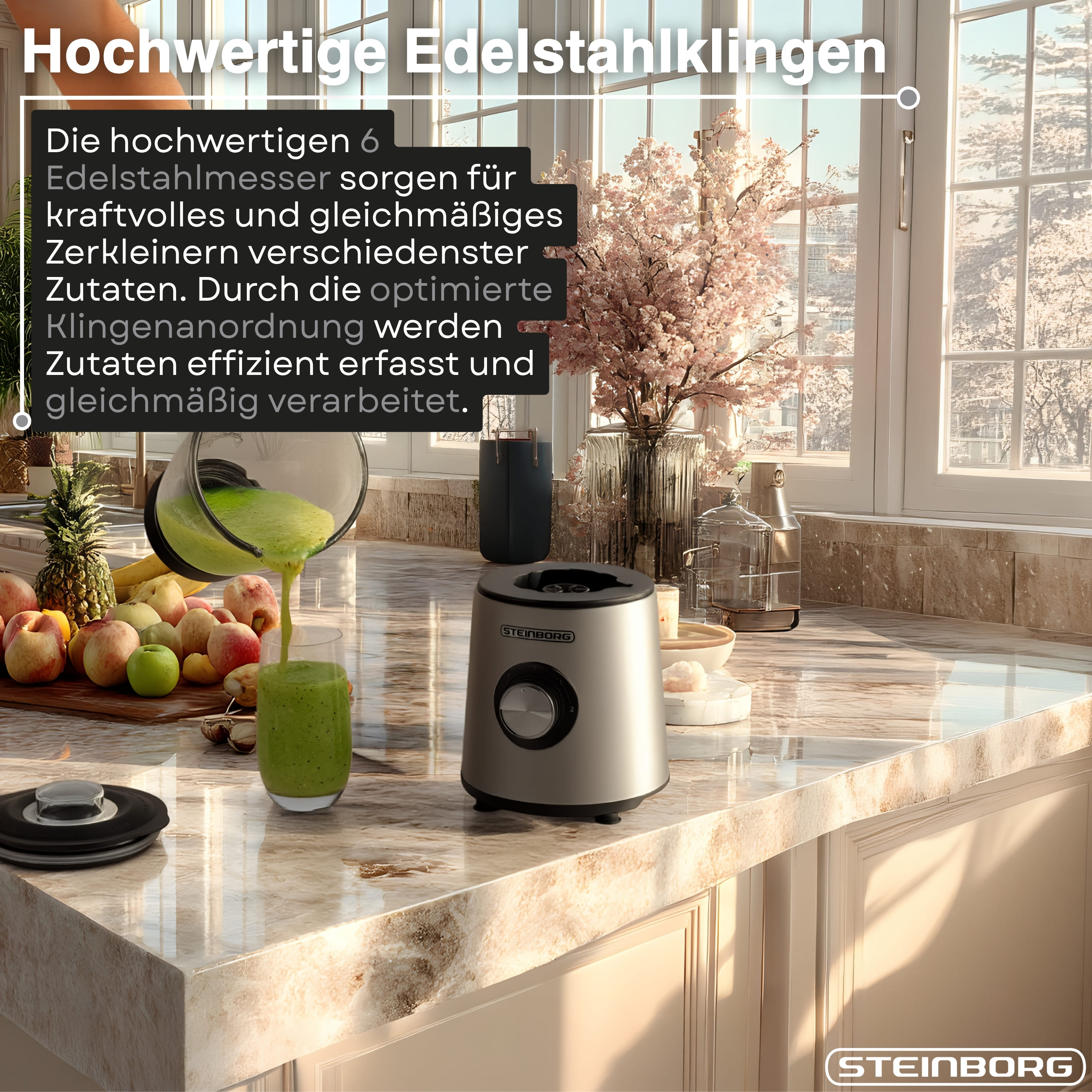 Steinborg SB-7090 Standmixer