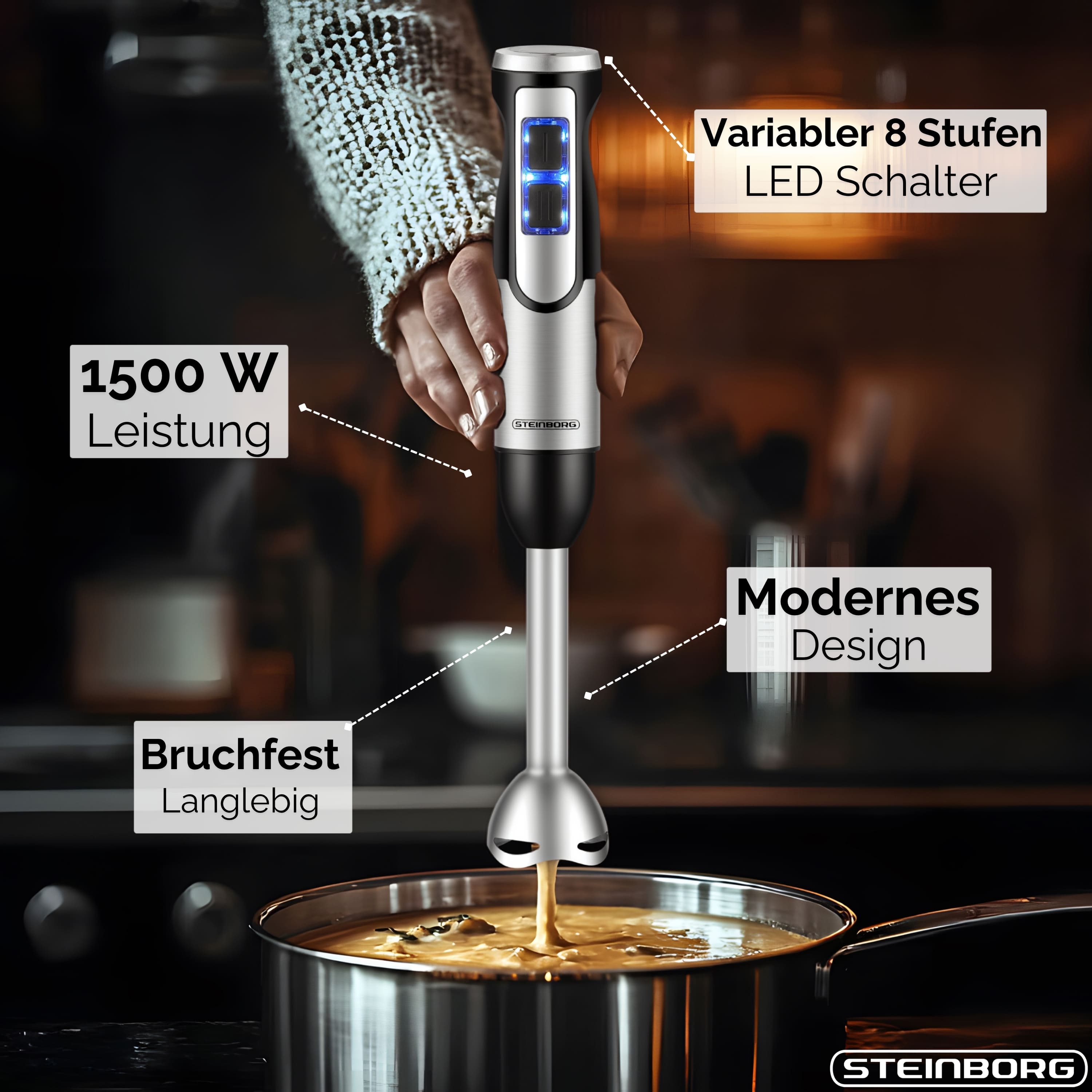 Steinborg SB-7070 Stabmixer