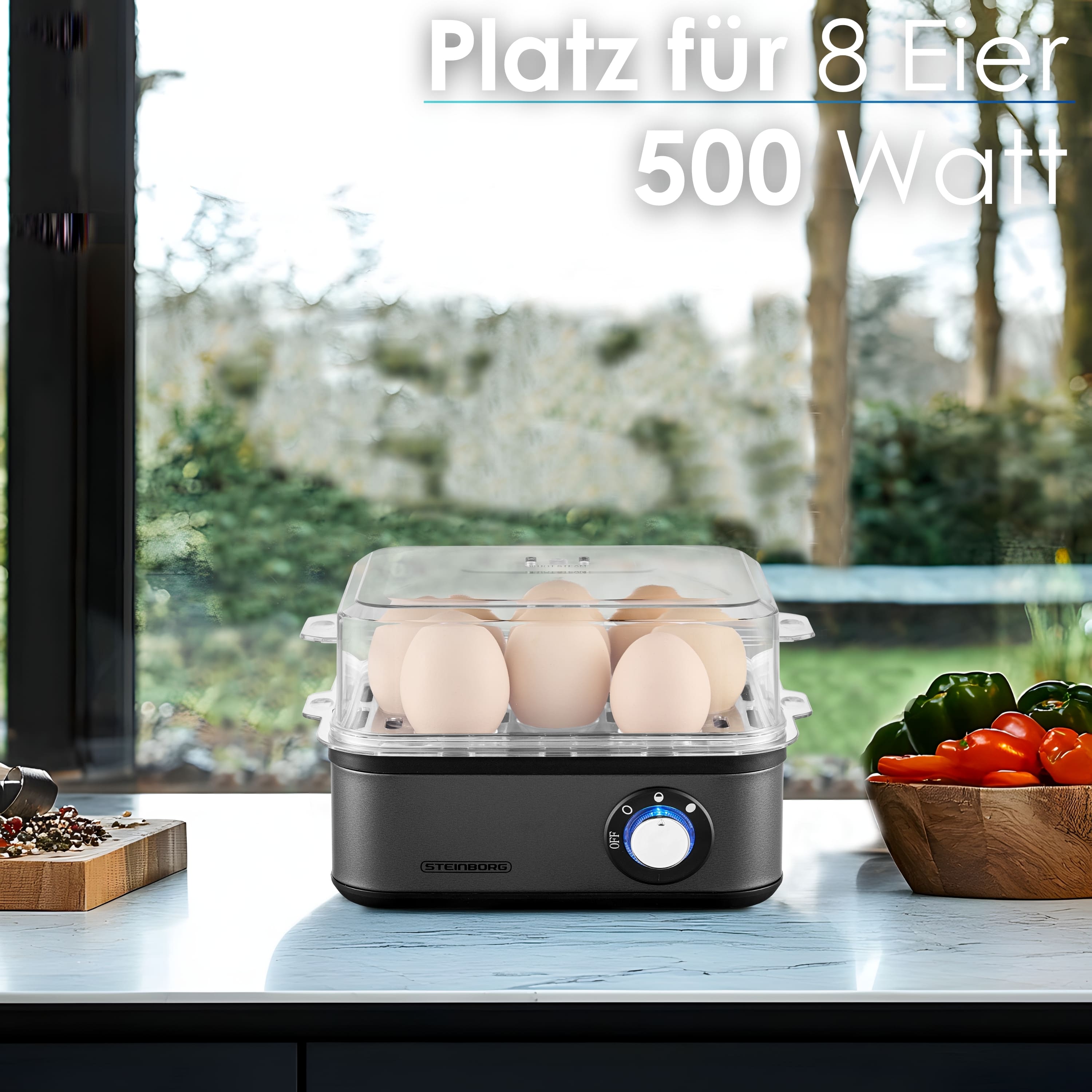 Steinborg SB-2630 Eierkocher