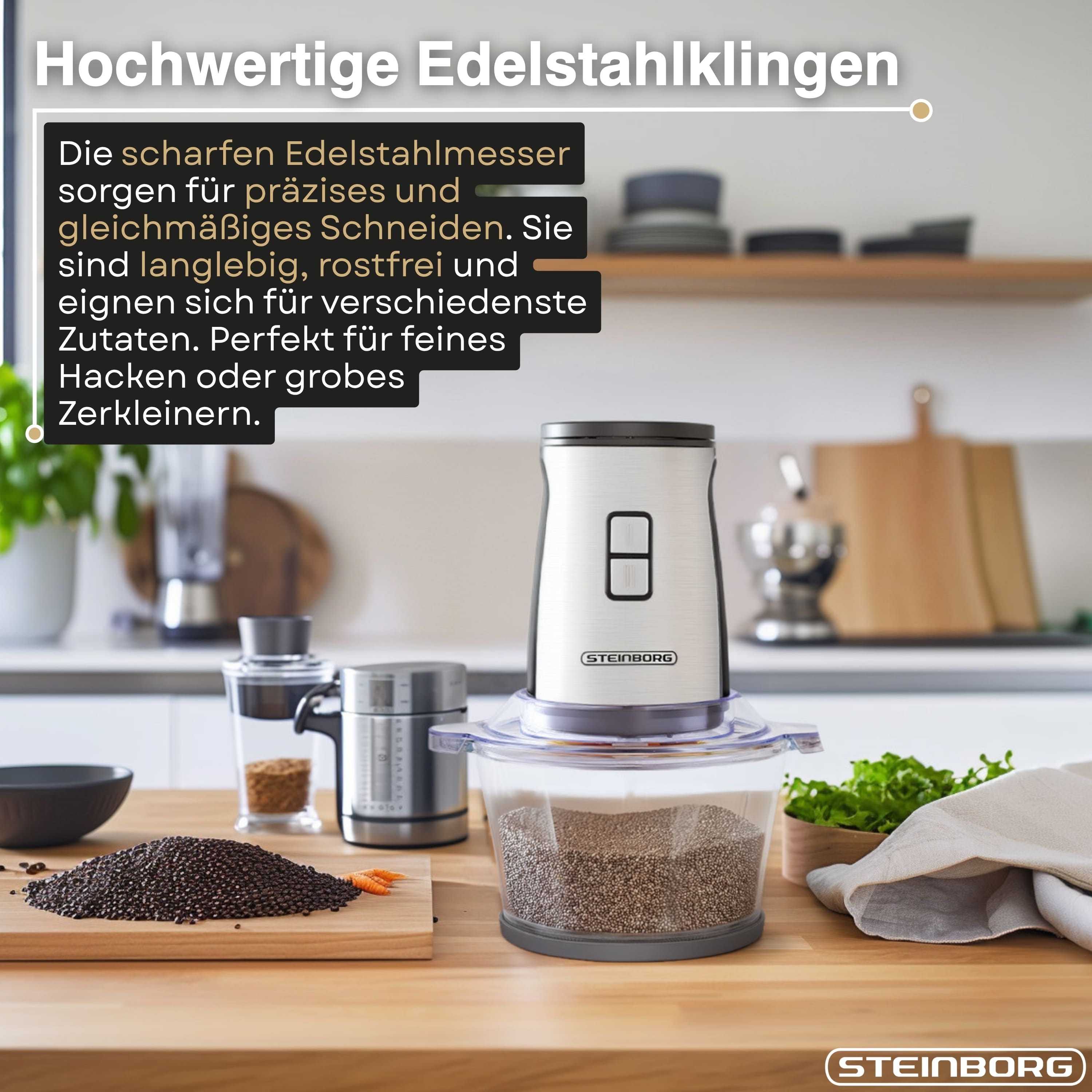 Steinborg SB-2650 Zerkleinerer und Mixer