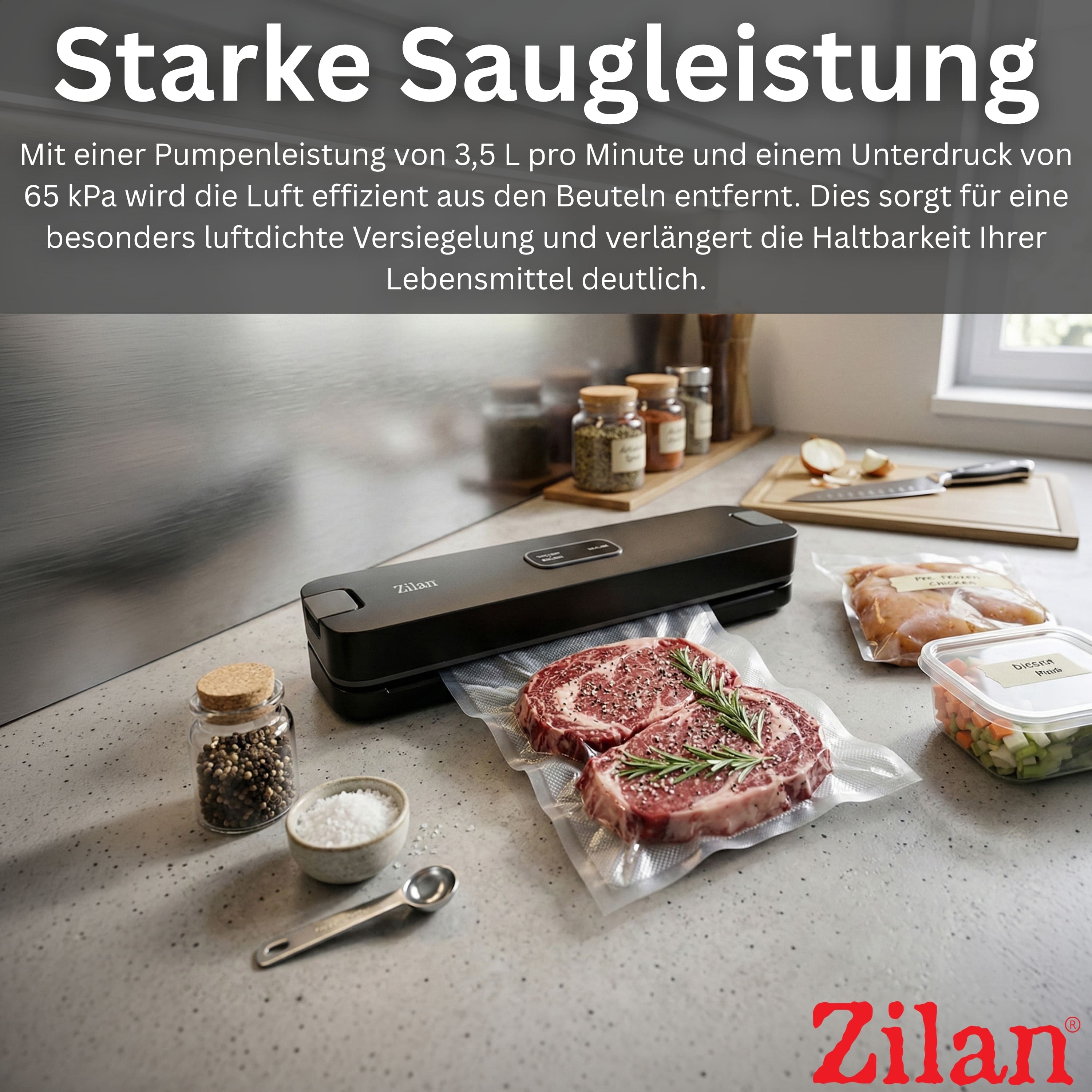 Zilan ZLN-2808 Vakuumierer