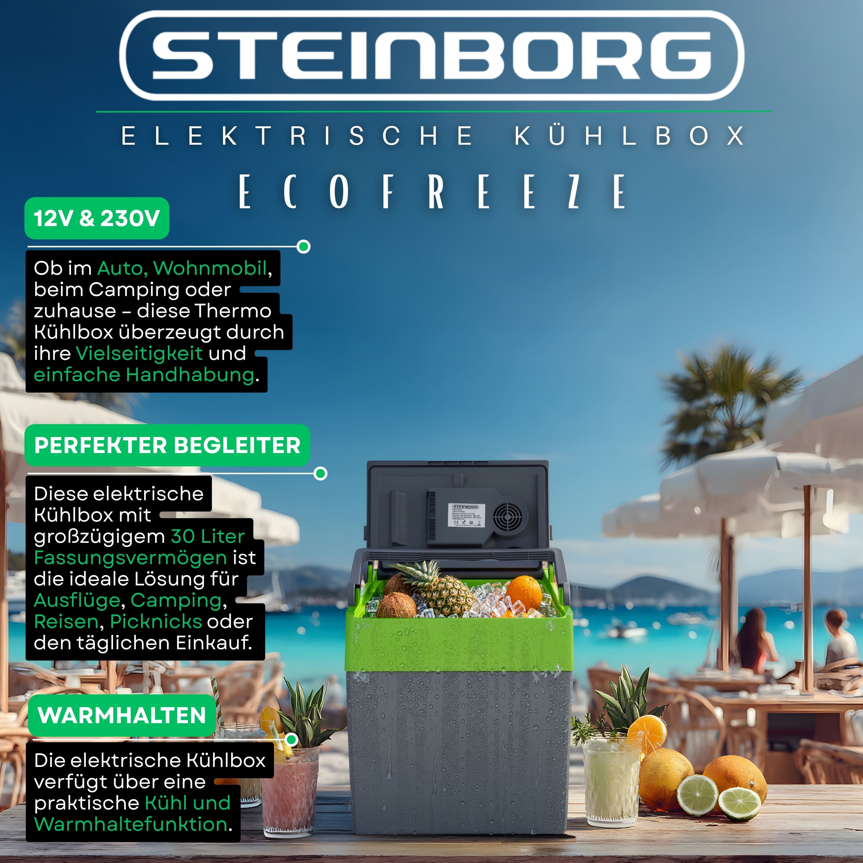 Steinborg SB-510 Kühlbox 30L