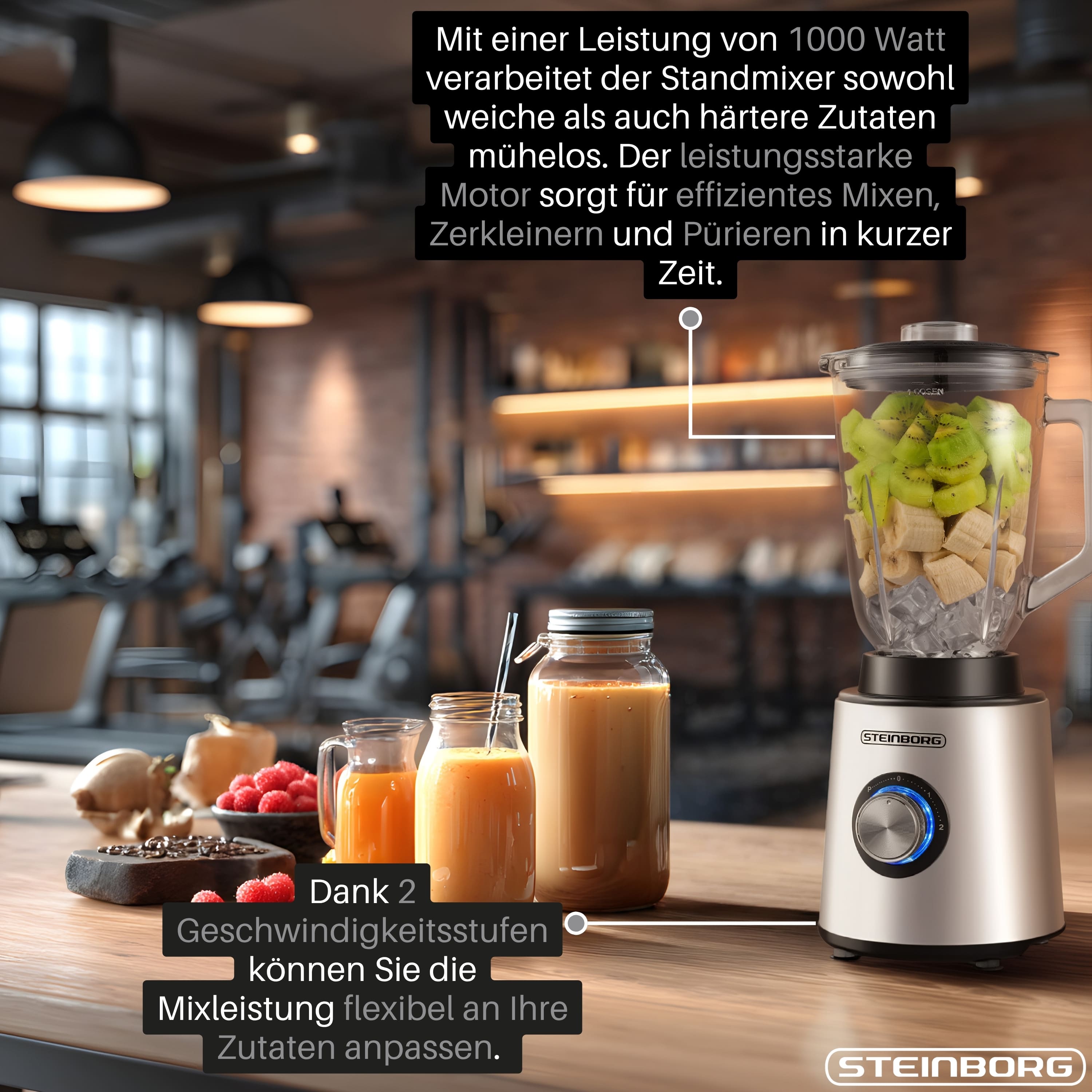 Steinborg SB-7090 Standmixer