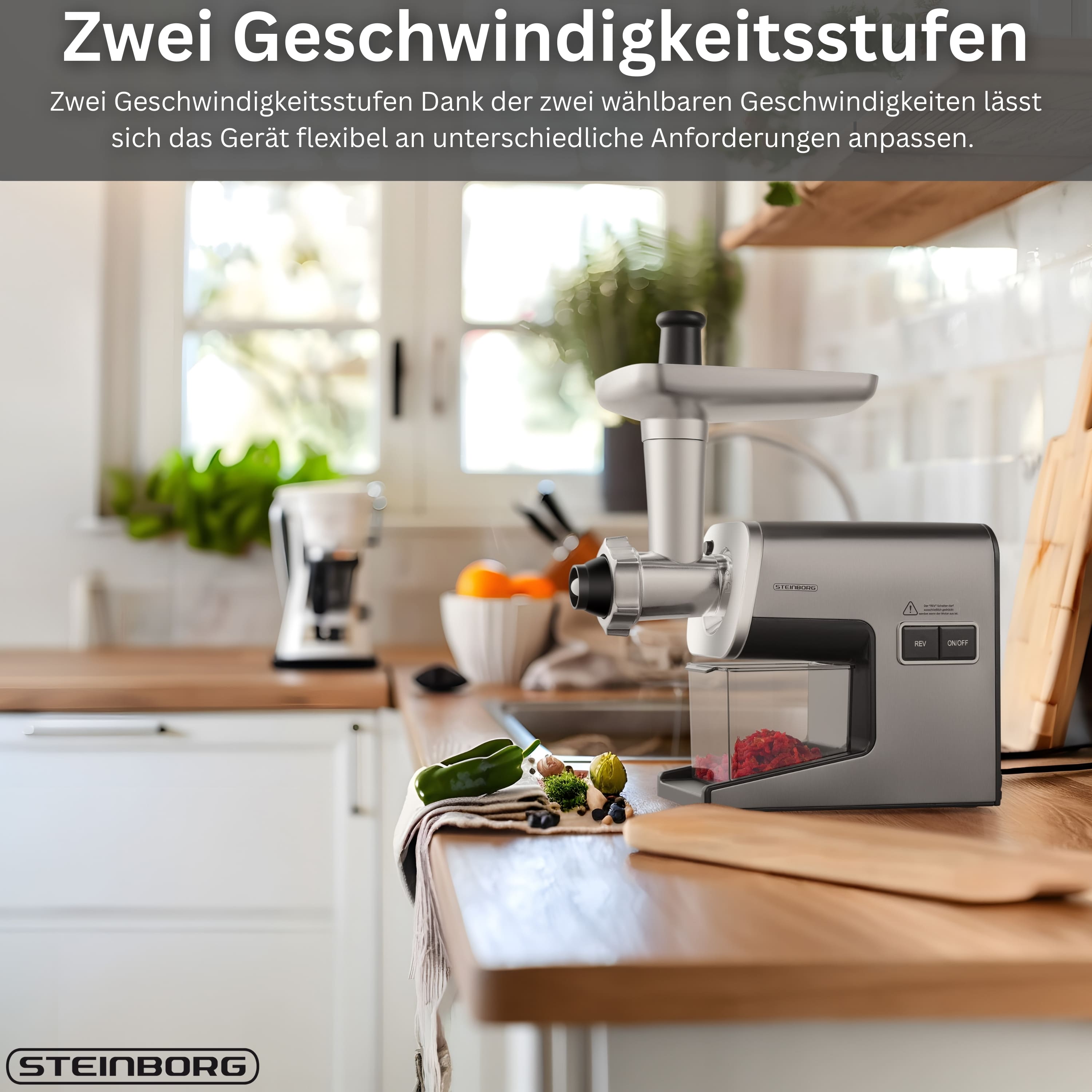 Steinborg SB-7080 Fleischwolf