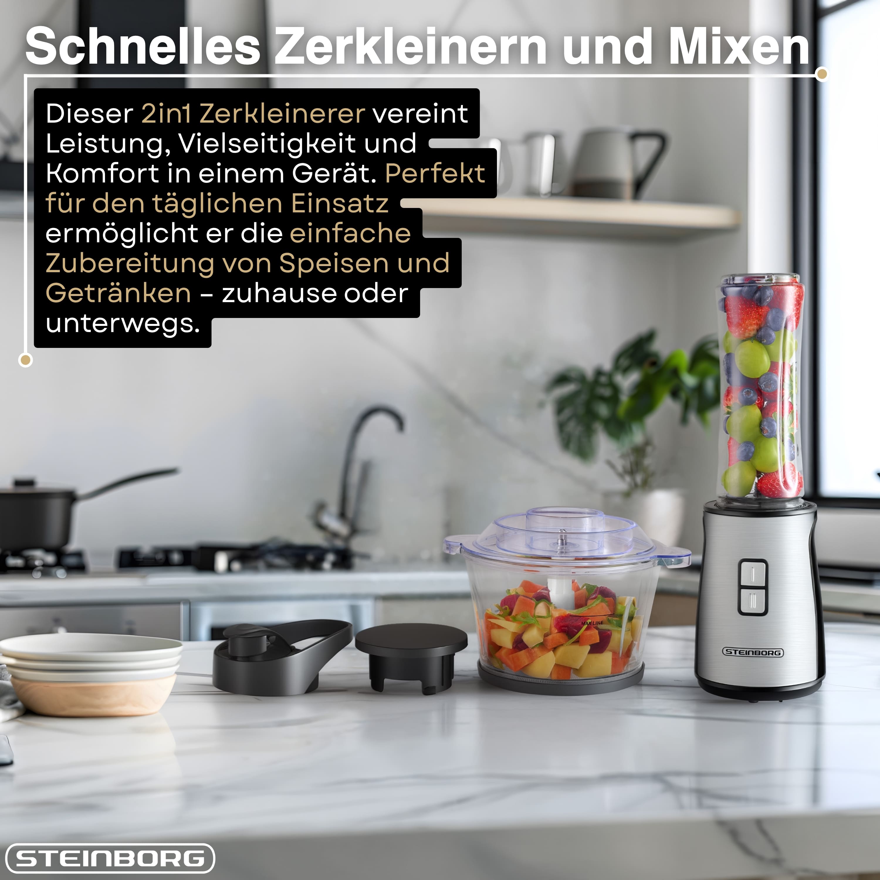 Steinborg SB-2650 Zerkleinerer und Mixer