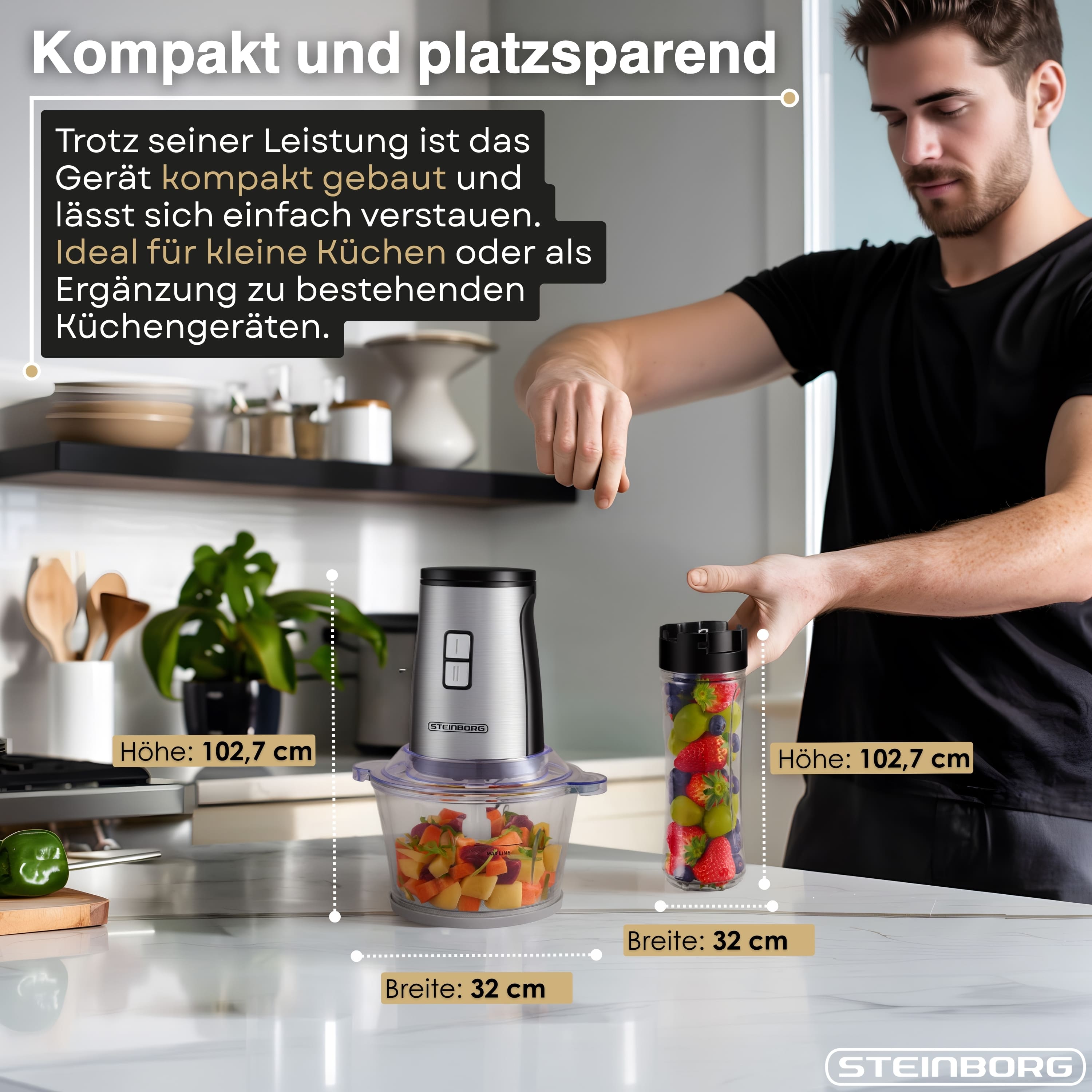 Steinborg SB-2650 Zerkleinerer und Mixer