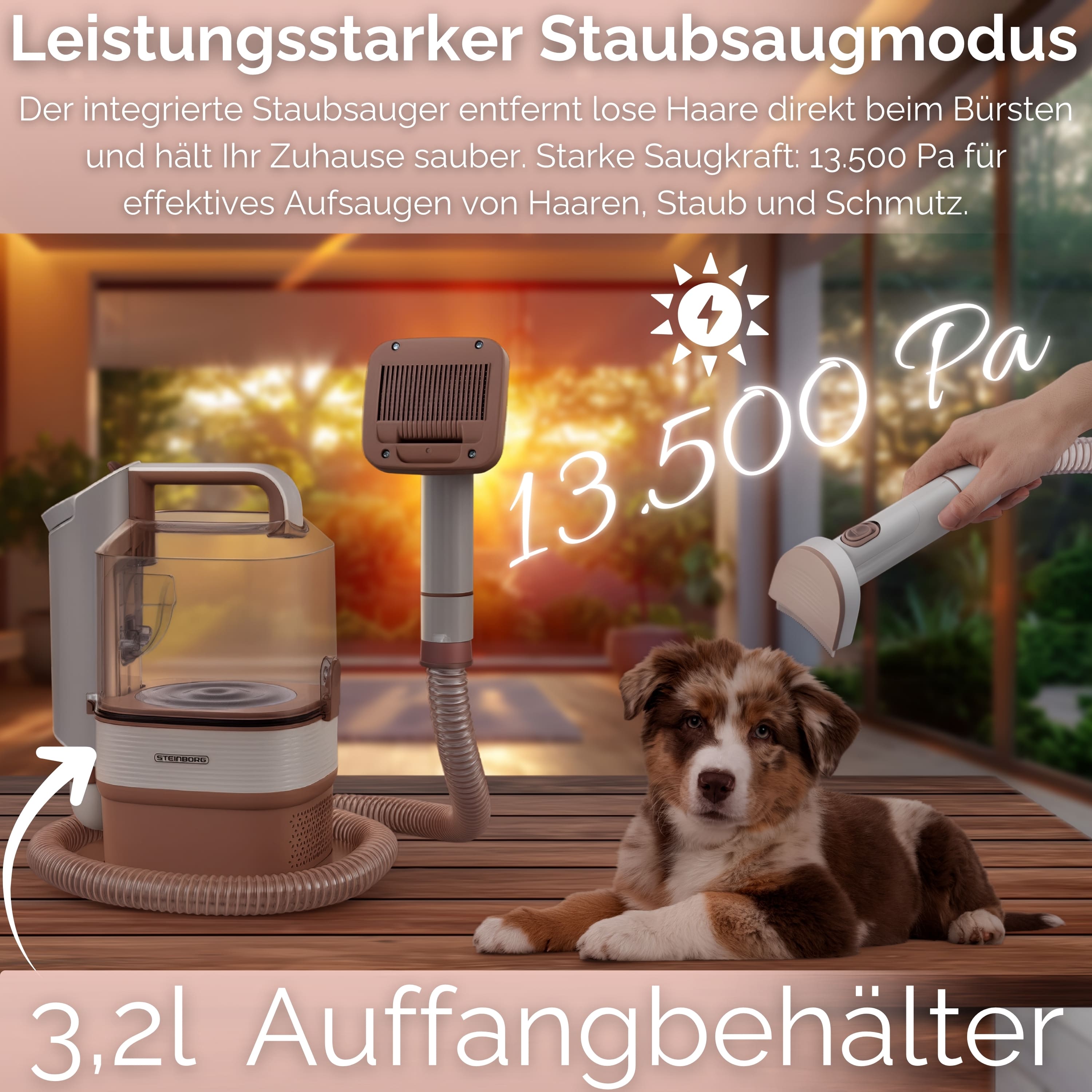Steinborg SB-1070 Staubsauger für Haar von Haustier