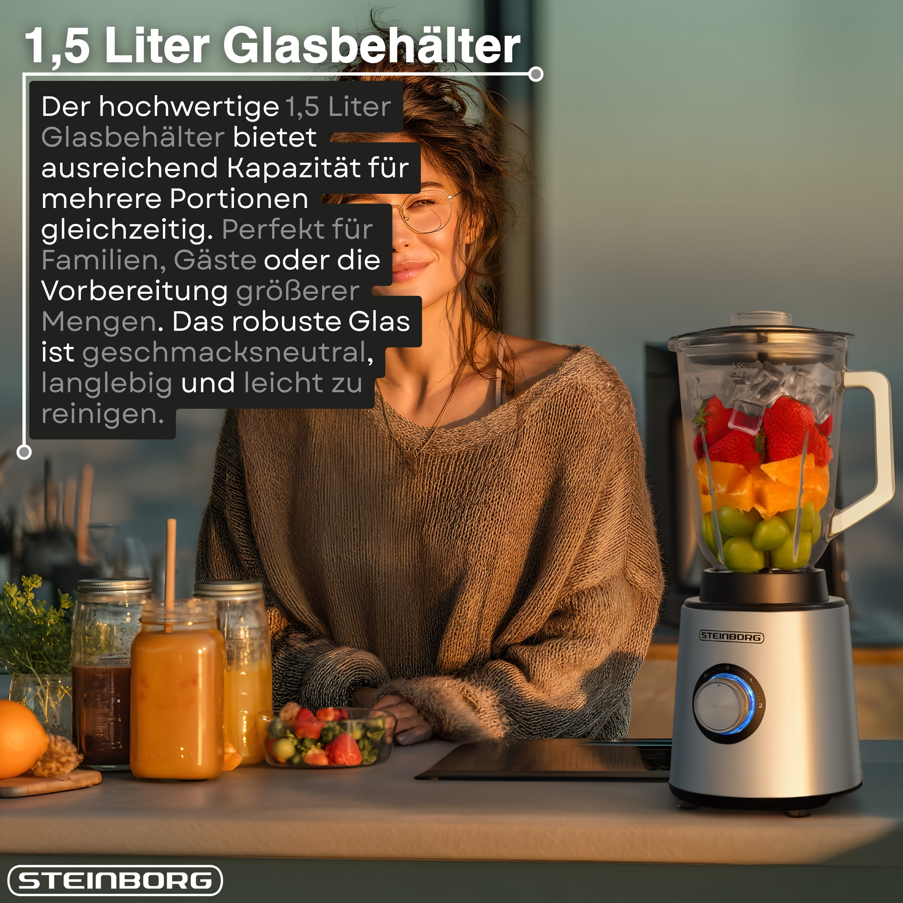 Steinborg SB-7090 Standmixer