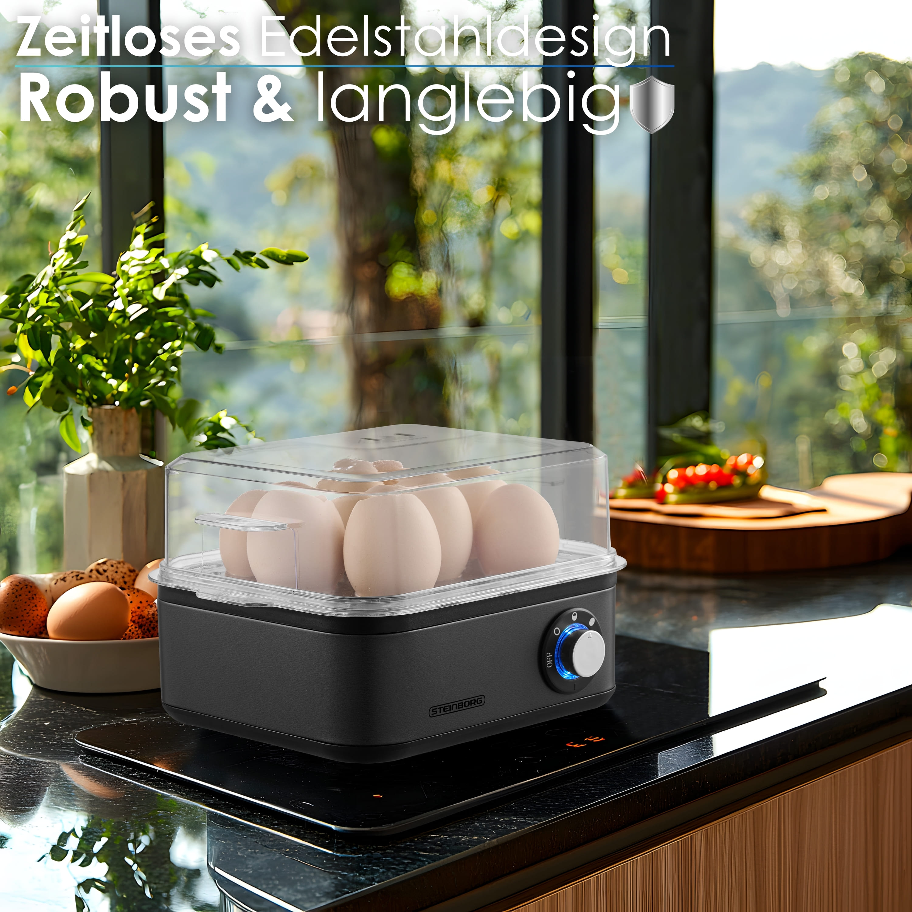 Steinborg SB-2630 Eierkocher