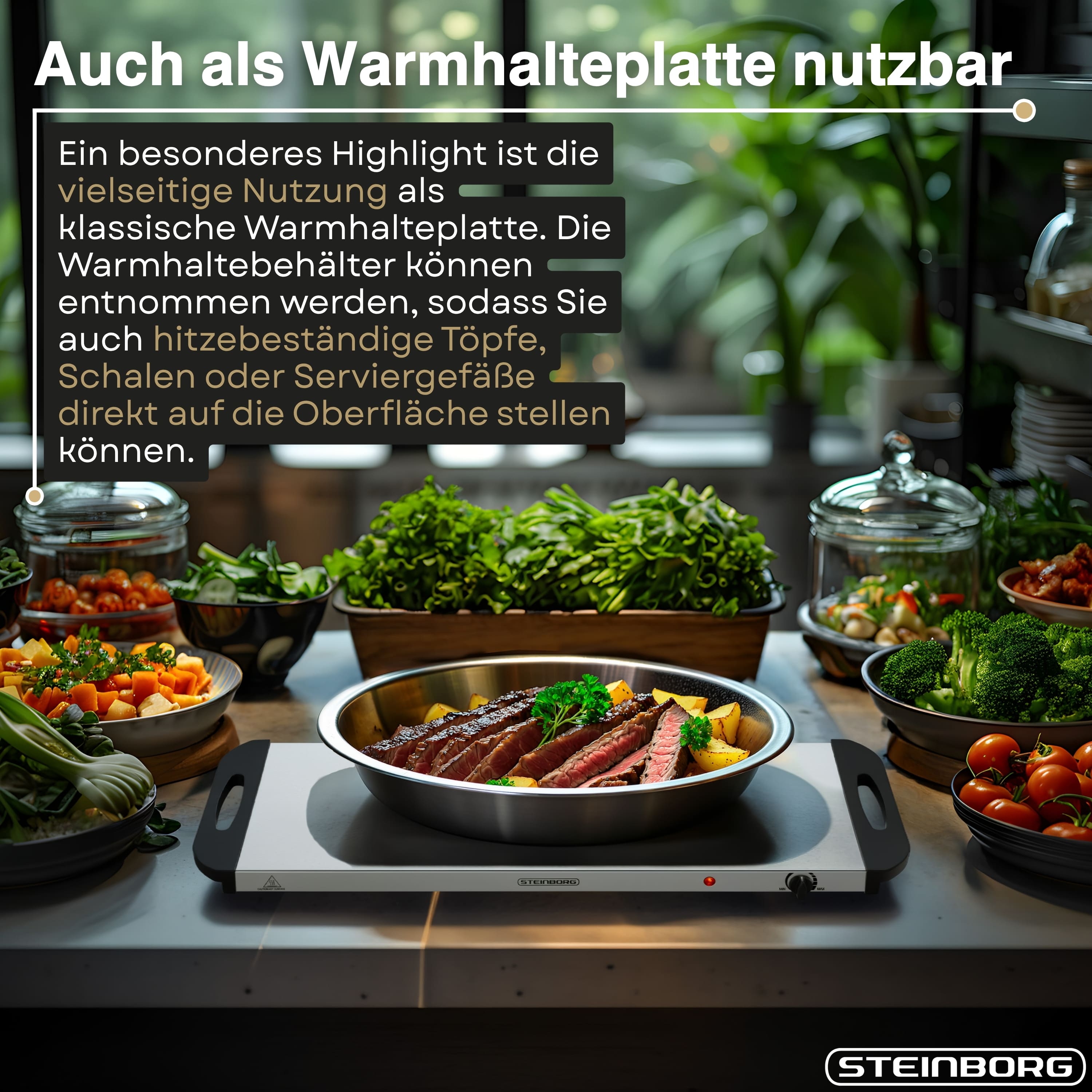 Steinborg SB-6024 Buffetwärmer