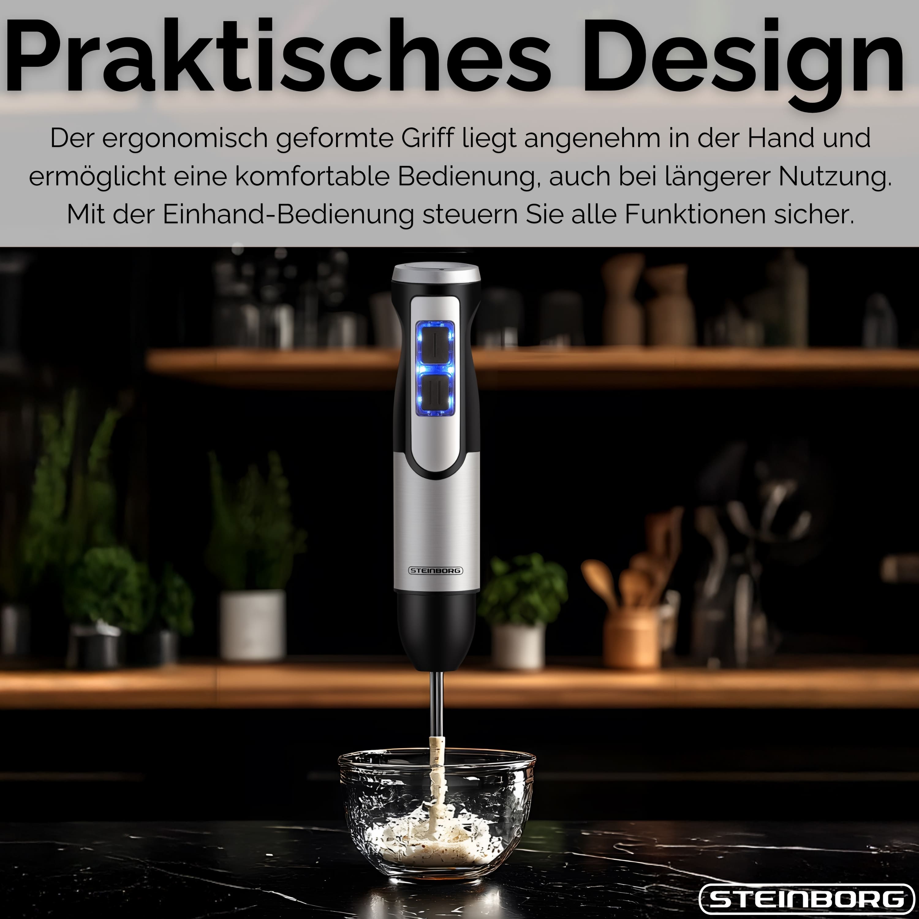 Steinborg SB-7070 Stabmixer