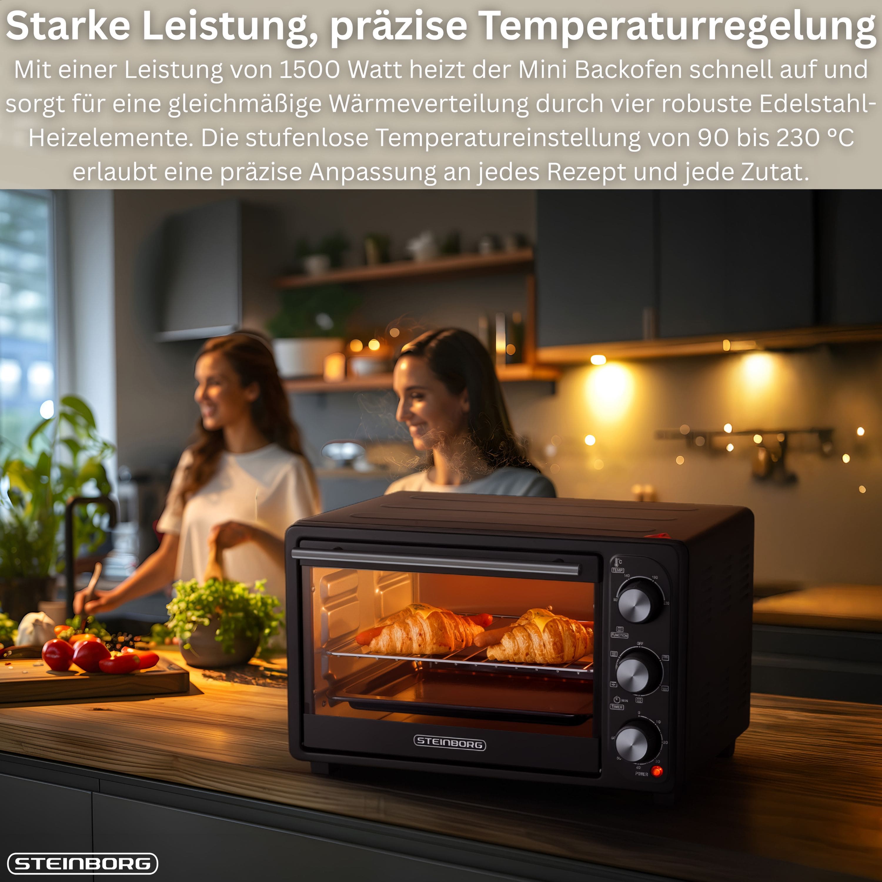 Steinborg SB-3023 Backofen 25L