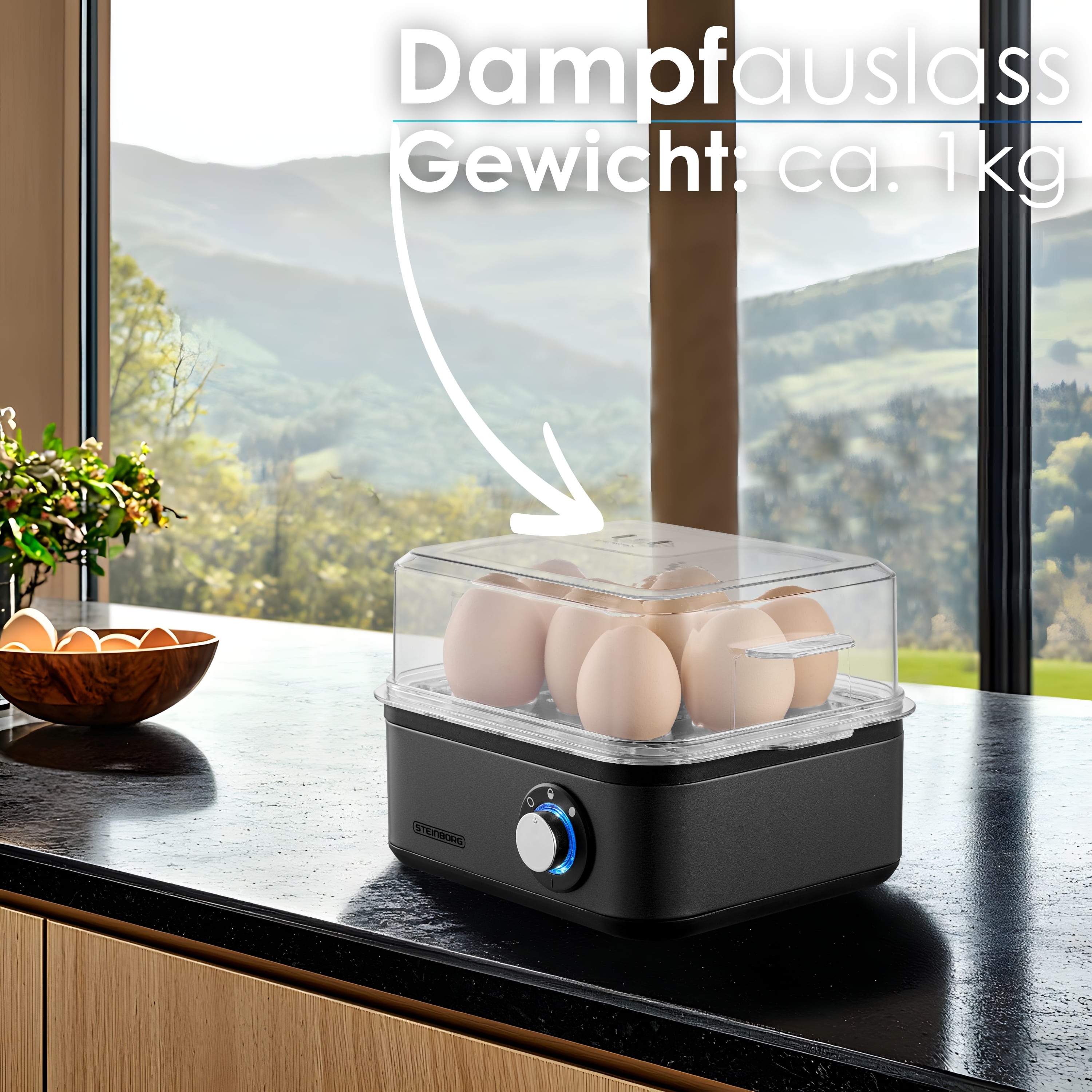 Steinborg SB-2630 Eierkocher