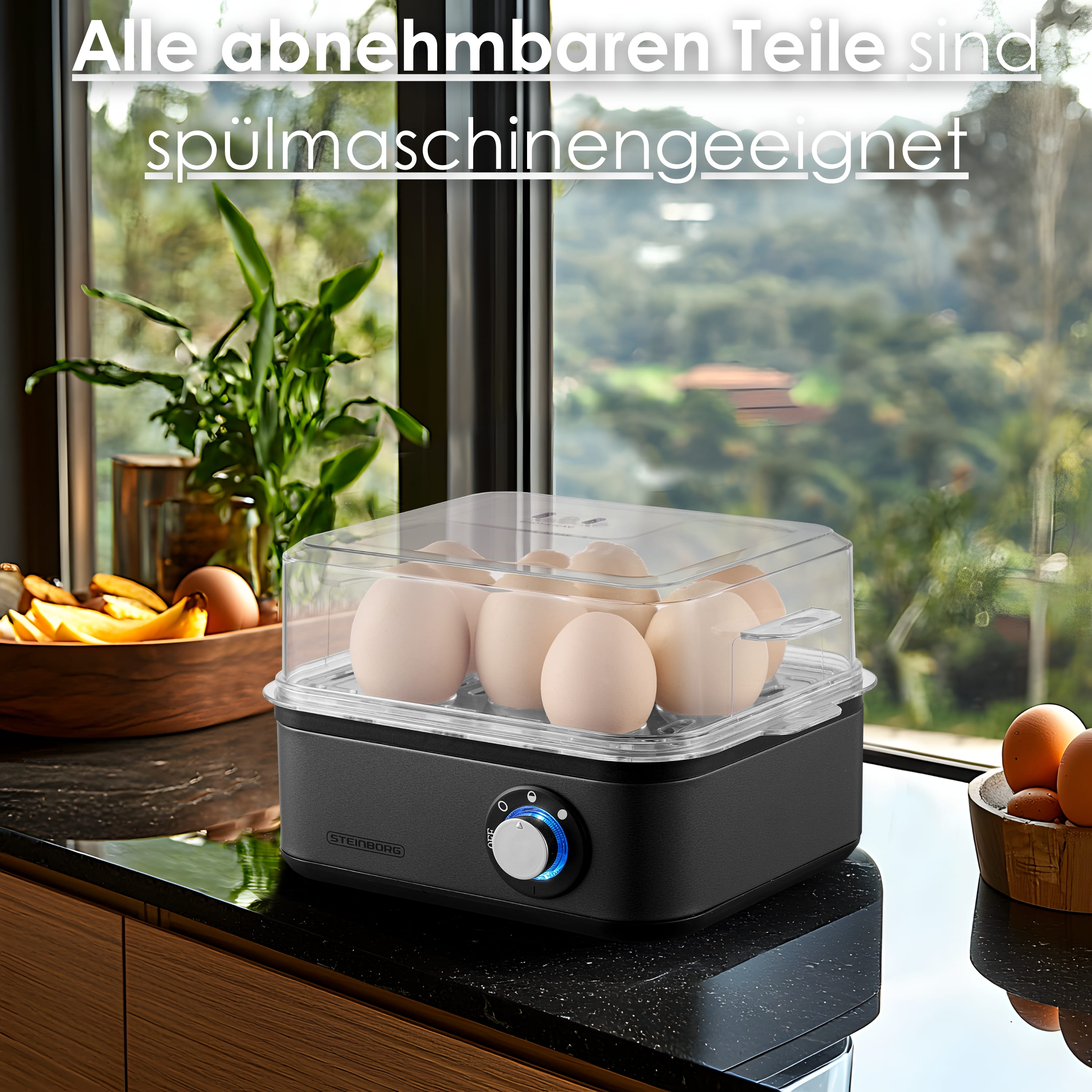 Steinborg SB-2630 Eierkocher