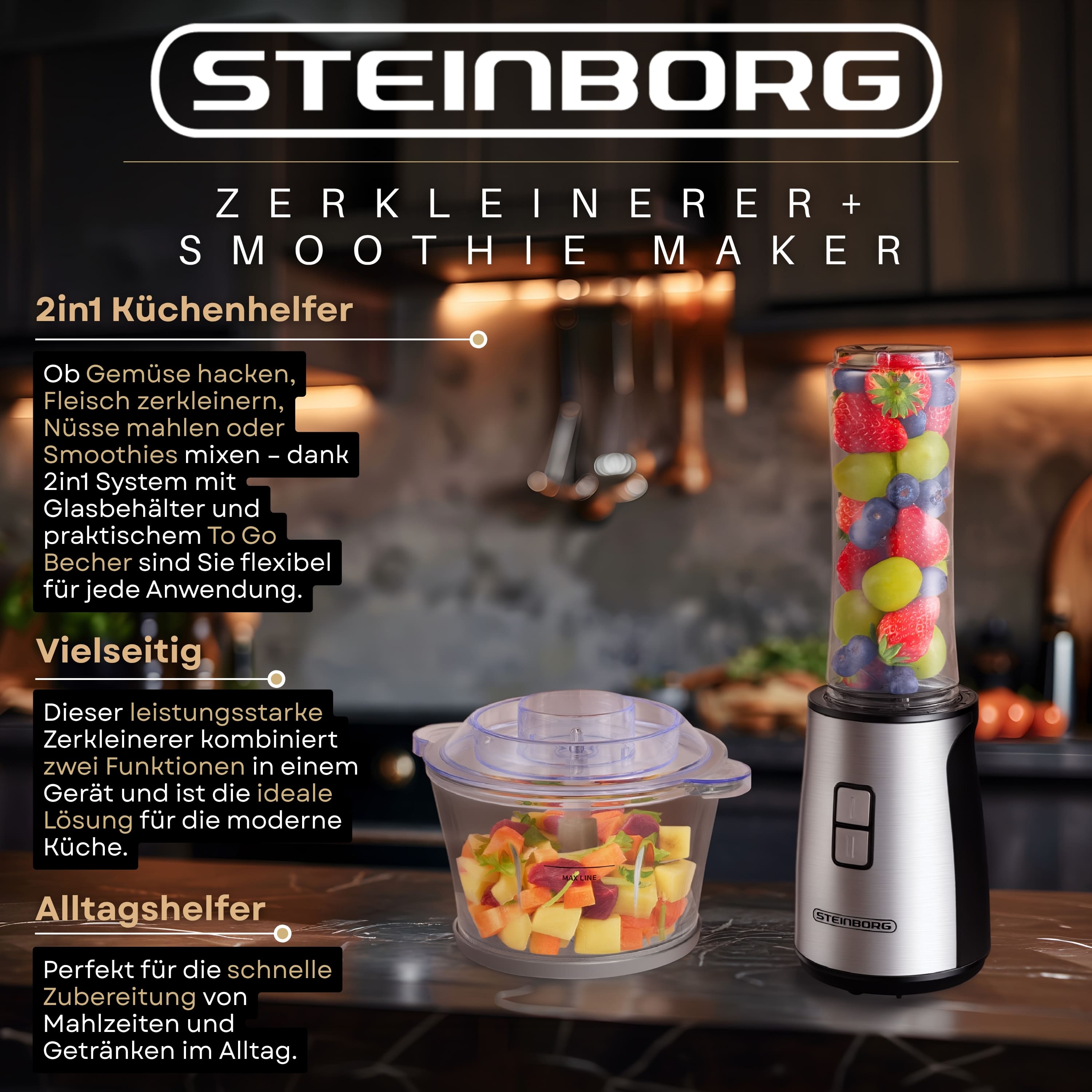 Steinborg SB-2650 Zerkleinerer und Mixer