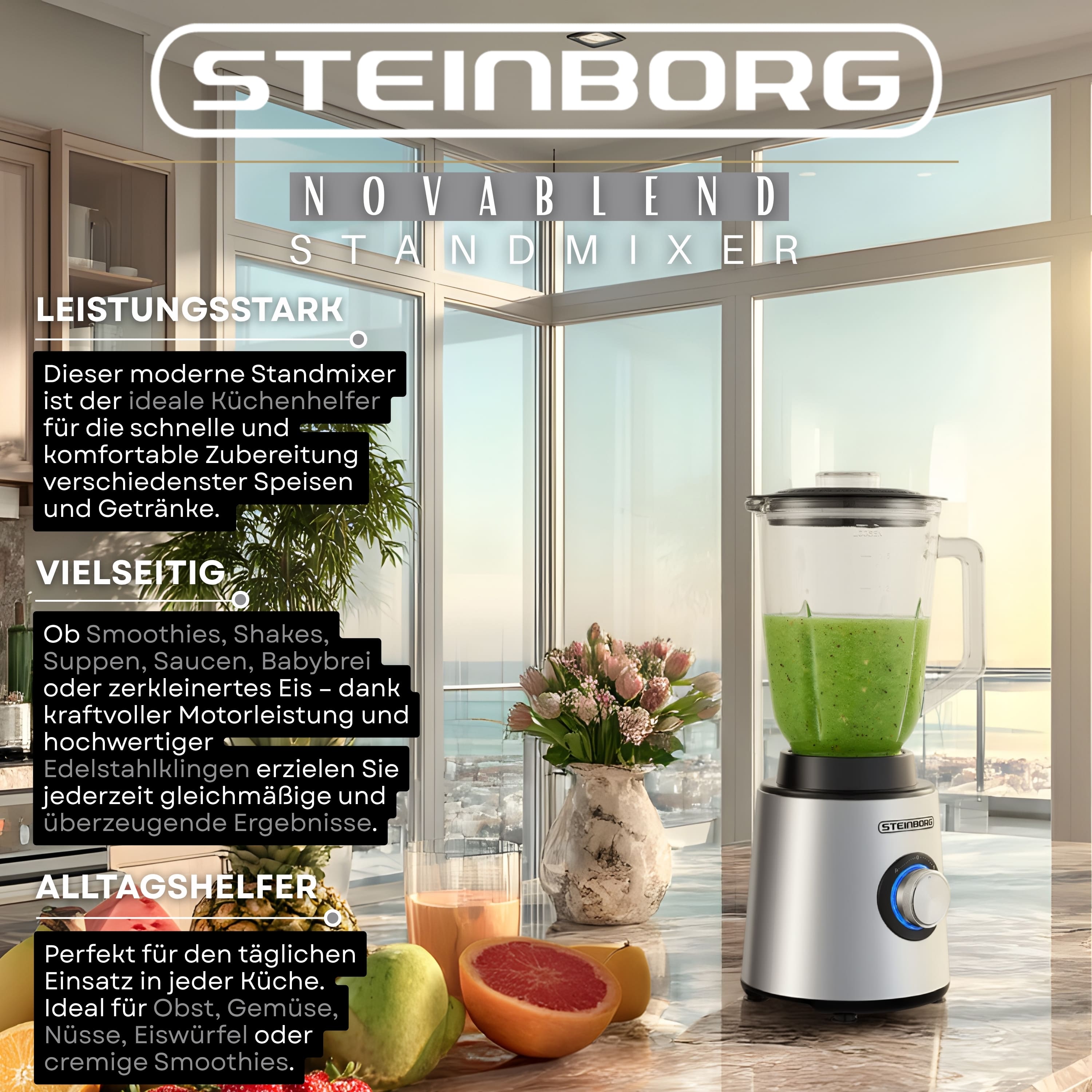 Steinborg SB-7090 Standmixer