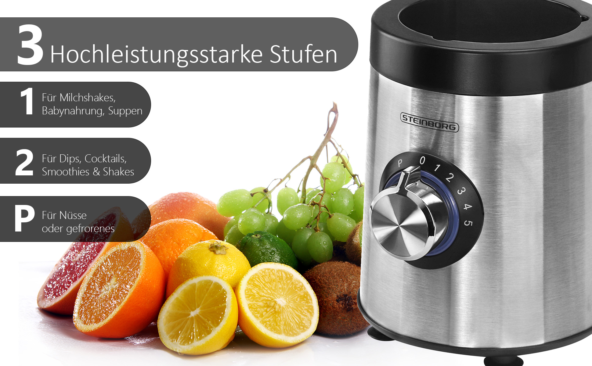 Steinborg SB-7020 Standmixer